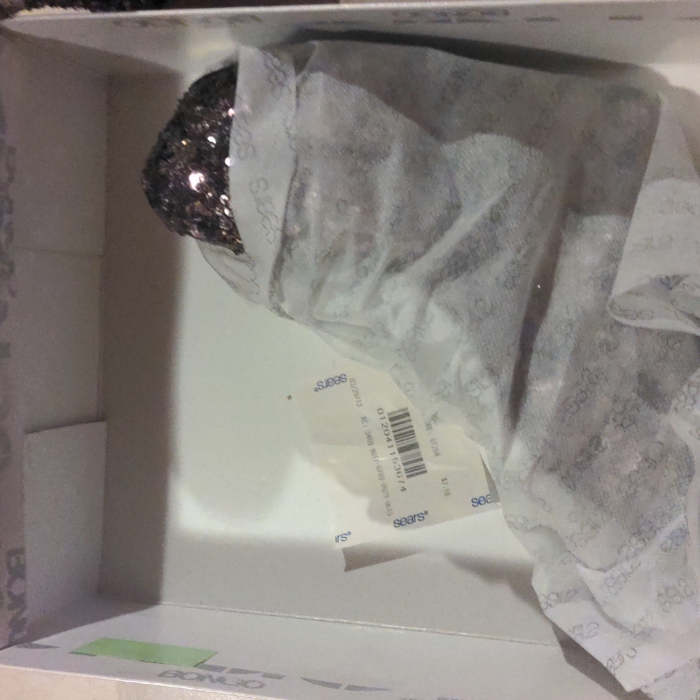 Bongo - Picture 4 of 4